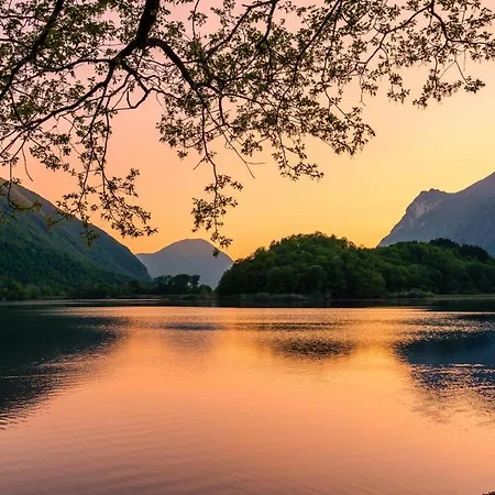 Harriet Vila Grandola ed Uniti